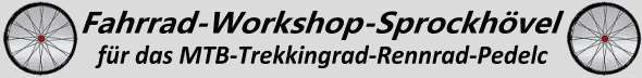 Logo-Fahrrad-Workshop